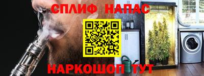стафф Краснознаменск
