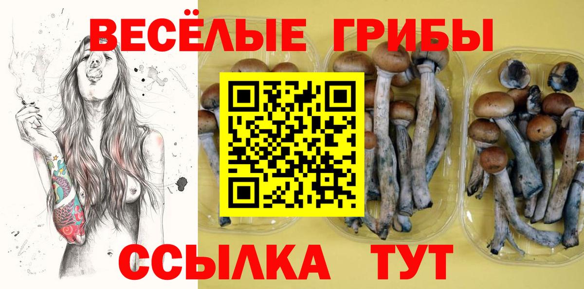 Псилоцибиновые грибы Magic Shrooms Жигулёвск