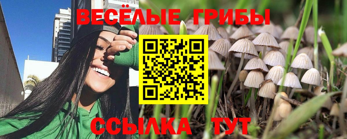 Гашиш  Жигулёвск  Магазины продажи наркотиков  Мефедрон кристаллы  Кодеин  Вход с VPN  Гашиш  Канабис  COCAIN 